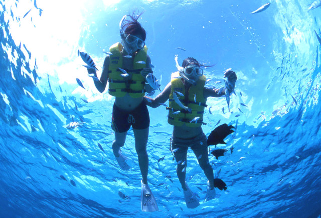 株式会社 かりゆしの写真